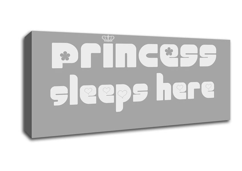 Picture of Princesss Sleeps Here 2 Grey White Panoramic Canvas Wall Art