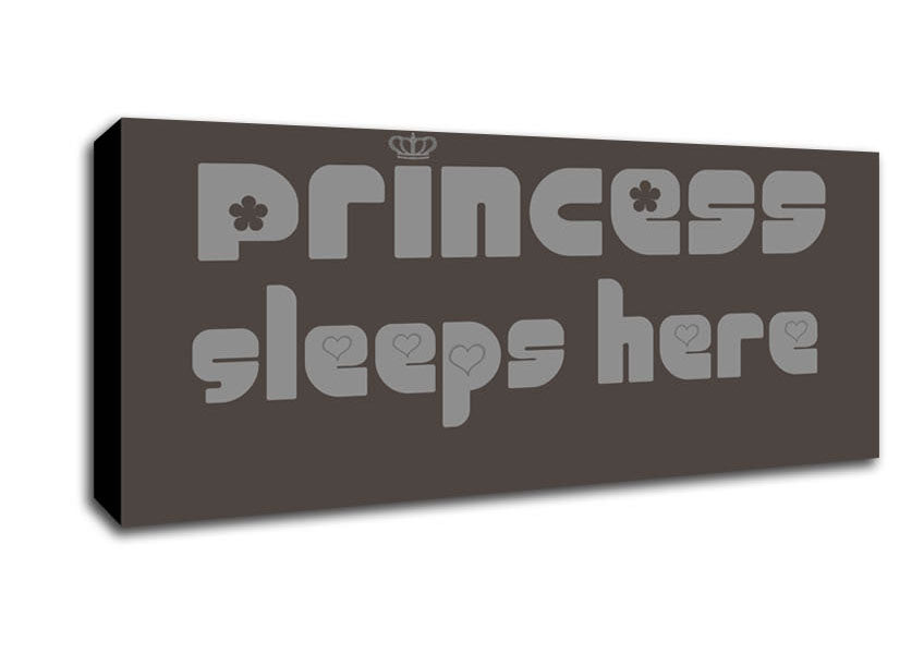 Picture of Princesss Sleeps Here 2 Chocolate Panoramic Canvas Wall Art