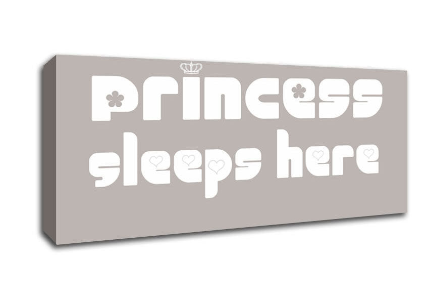Picture of Princesss Sleeps Here 2 Beige Panoramic Canvas Wall Art