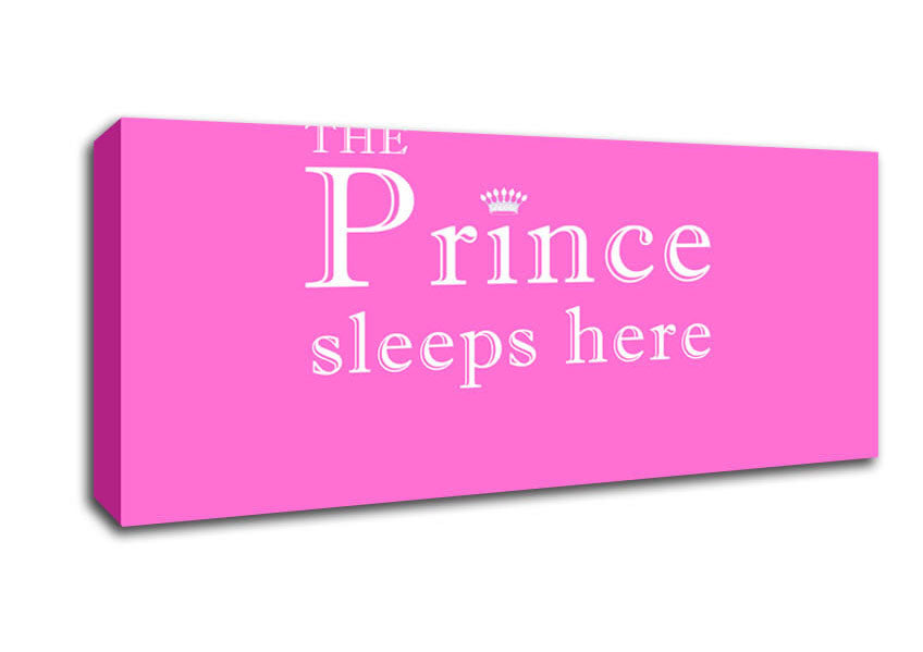 Picture of The Prince Sleeps Here Vivid Pink Panoramic Canvas Wall Art