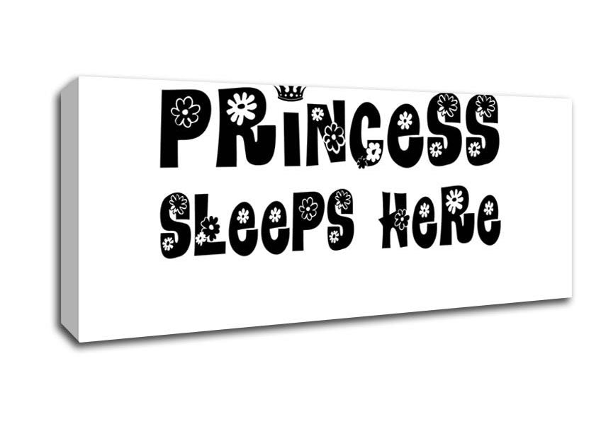 Picture of Princesss Sleeps Here White Panoramic Canvas Wall Art