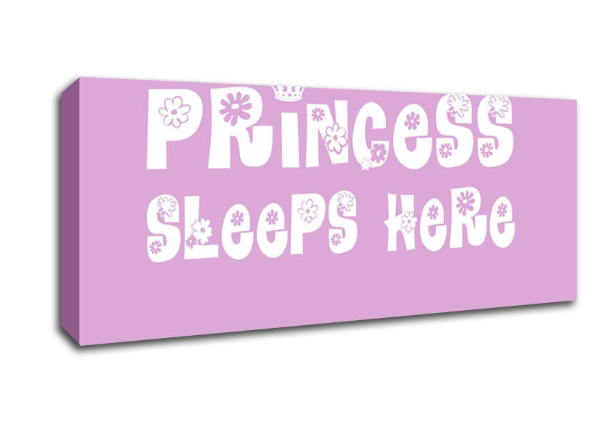 Picture of Princesss Sleeps Here Pink Panoramic Canvas Wall Art