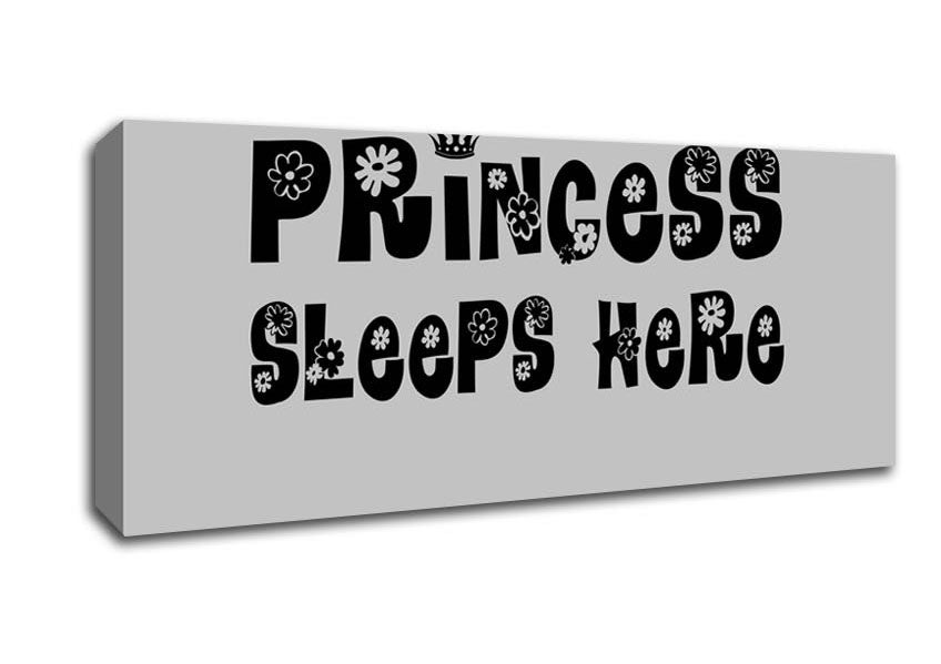 Picture of Princesss Sleeps Here Grey Panoramic Canvas Wall Art