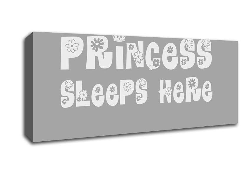 Picture of Princesss Sleeps Here Grey White Panoramic Canvas Wall Art