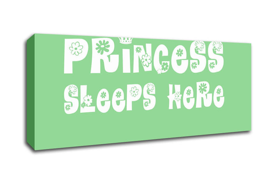 Picture of Princesss Sleeps Here Green Panoramic Canvas Wall Art