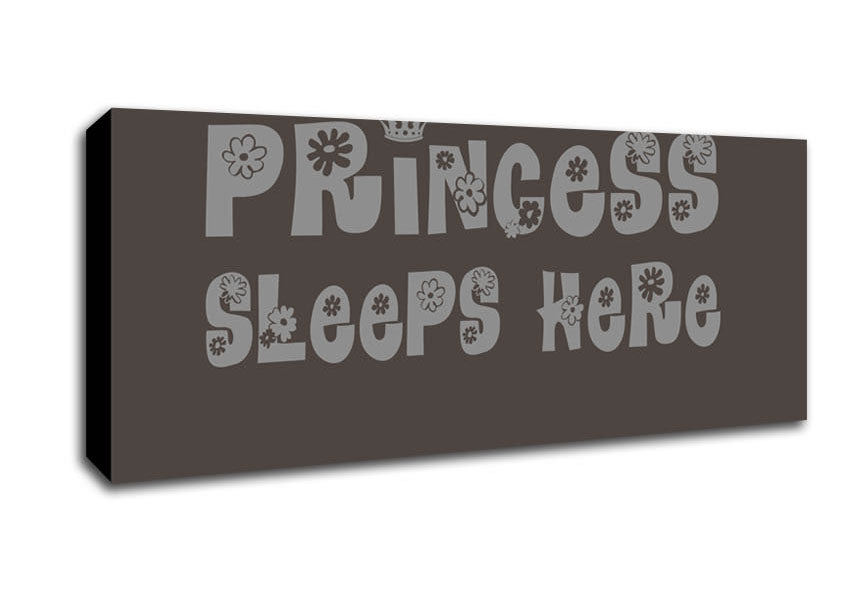 Picture of Princesss Sleeps Here Chocolate Panoramic Canvas Wall Art