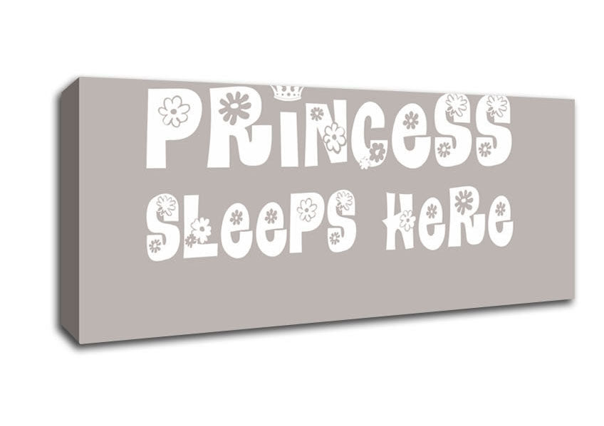 Picture of Princesss Sleeps Here Beige Panoramic Canvas Wall Art