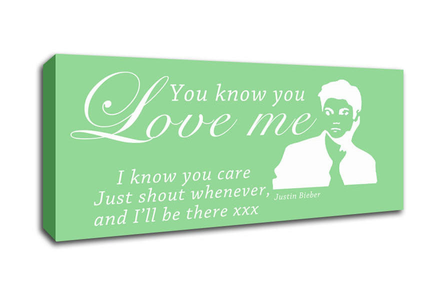 Picture of Music Quote You Know You Love Me Justin Bieber Green Panoramic Canvas Wall Art