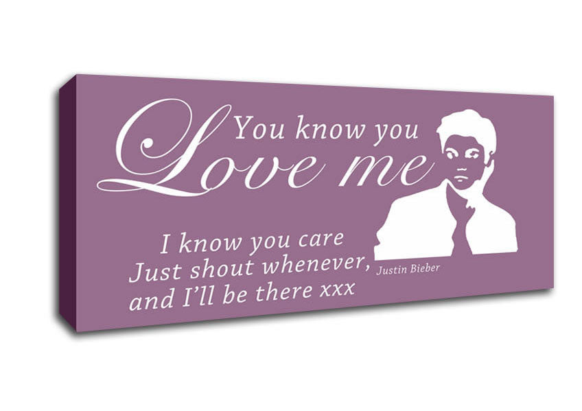 Picture of Music Quote You Know You Love Me Justin Bieber Dusty Pink Panoramic Canvas Wall Art