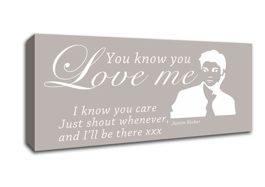 Picture of Music Quote You Know You Love Me Justin Bieber Beige Panoramic Canvas Wall Art