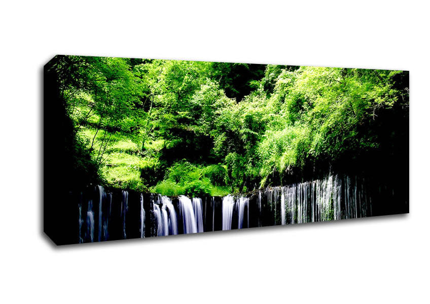 Picture of Rain Forest Panoramic Canvas Wall Art