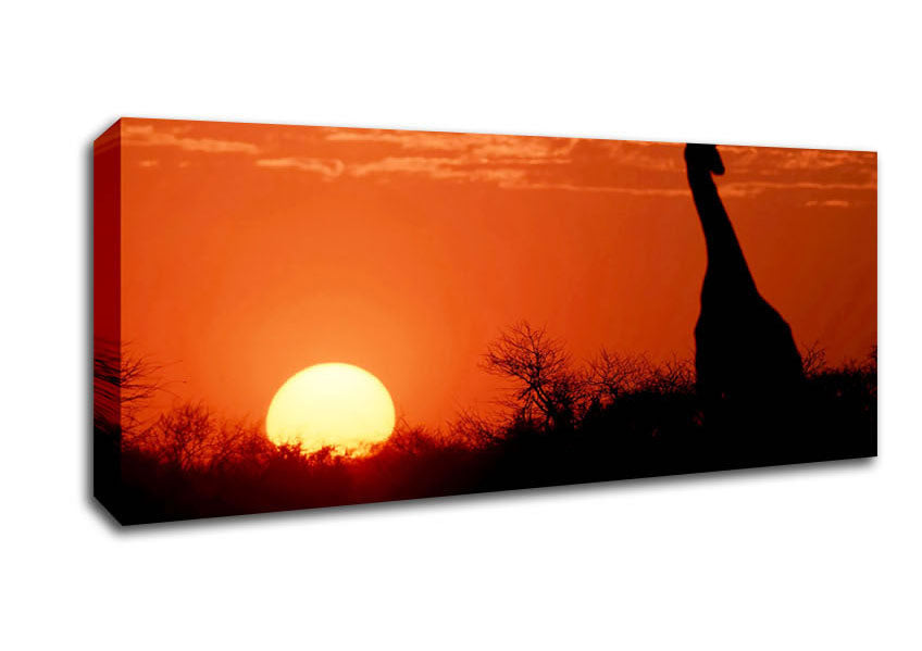 Picture of African Sunset Giraffe Panoramic Canvas Wall Art