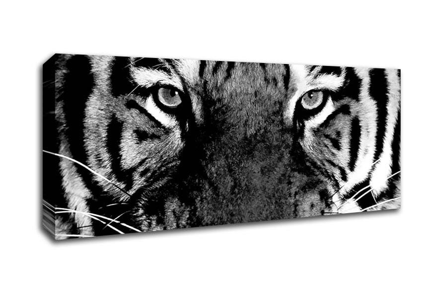 Picture of Tiger Stare B n W Panoramic Canvas Wall Art