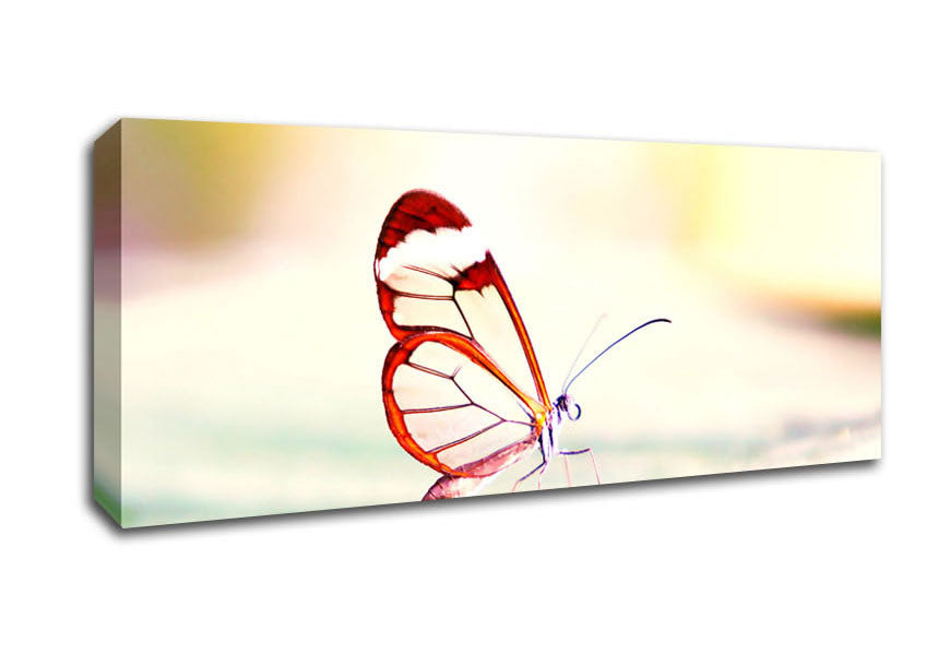 Picture of Transparent Winged Butterfly Panoramic Canvas Wall Art