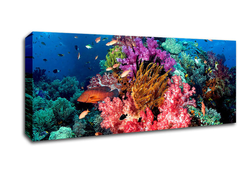 Picture of Tropical Fish Panoramic Canvas Wall Art