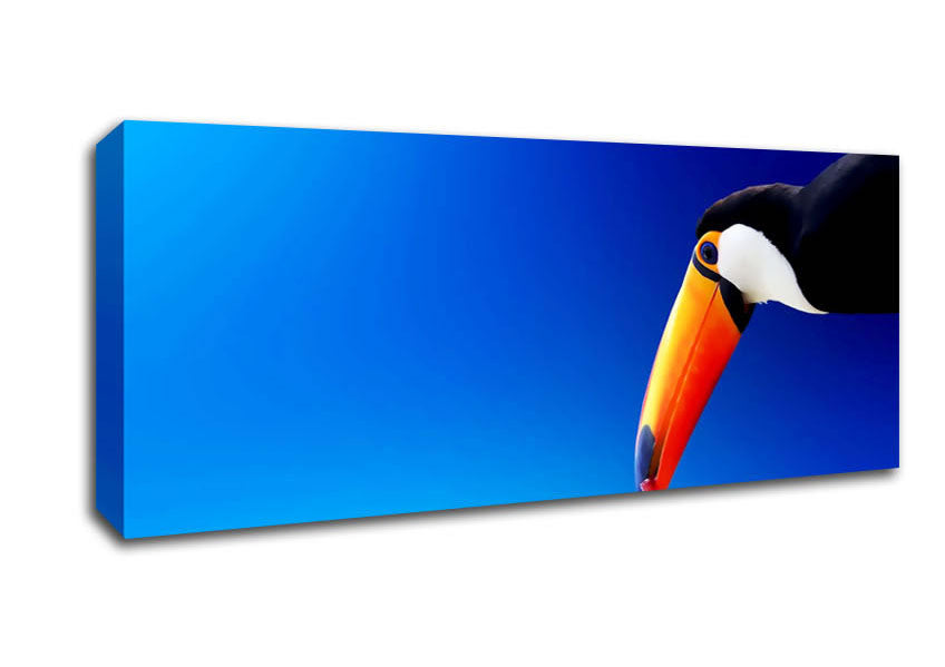 Picture of Tucan Beauty Panoramic Canvas Wall Art
