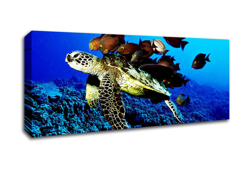 Picture of Turtle Love Panoramic Canvas Wall Art