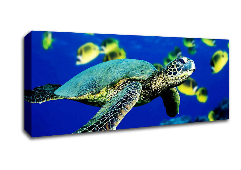 Picture of Turtle Ocean Panoramic Canvas Wall Art