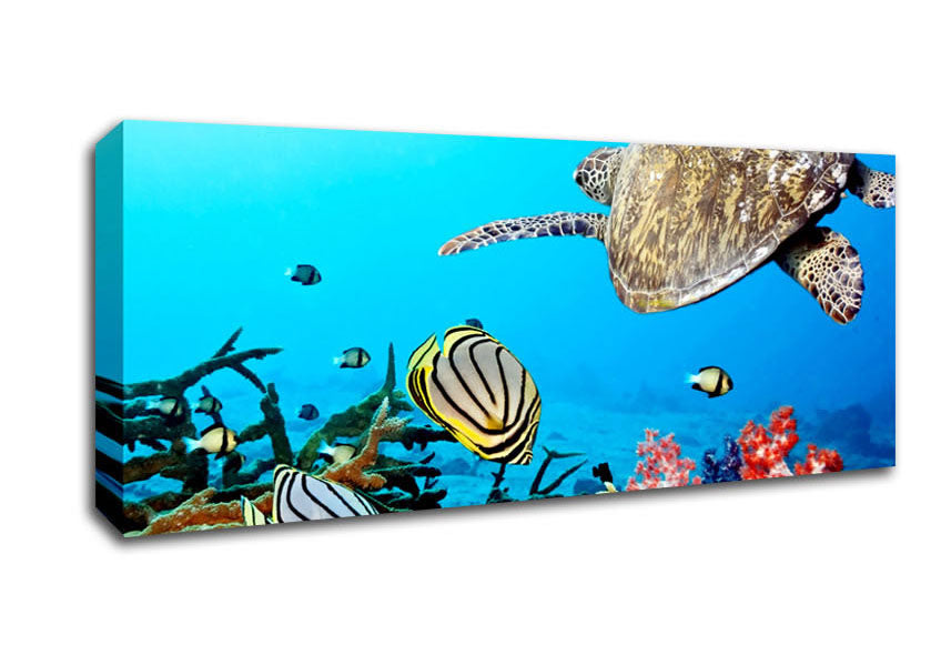 Picture of Underwater Turtle And Fish Panoramic Canvas Wall Art