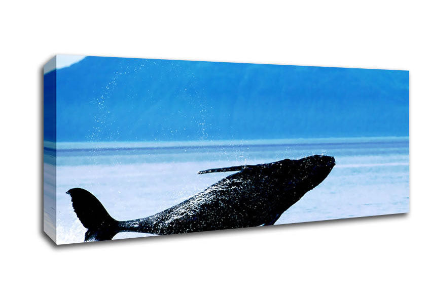 Picture of Whale Of A Time Panoramic Canvas Wall Art