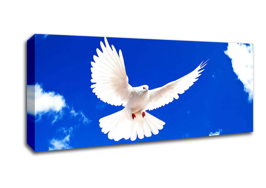 Picture of White Dove Panoramic Canvas Wall Art