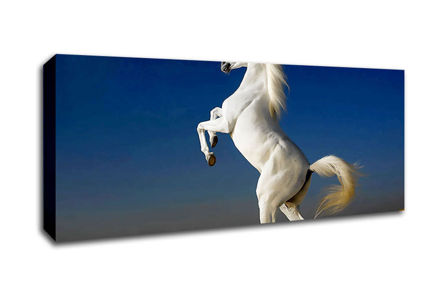 Picture of White Horse Stance Panoramic Canvas Wall Art