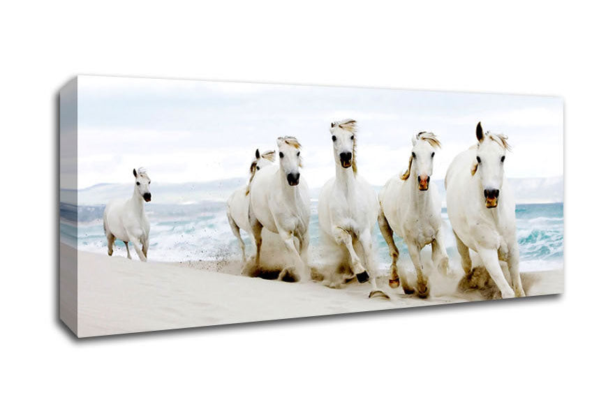 Picture of White Ocean Horses Panoramic Canvas Wall Art