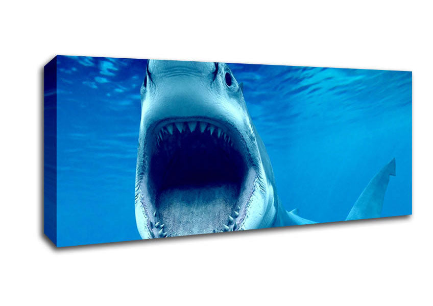 Picture of White Shark Teeth Panoramic Canvas Wall Art