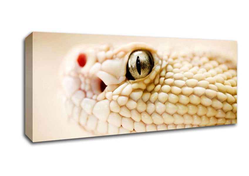 Picture of White Snake Panoramic Canvas Wall Art