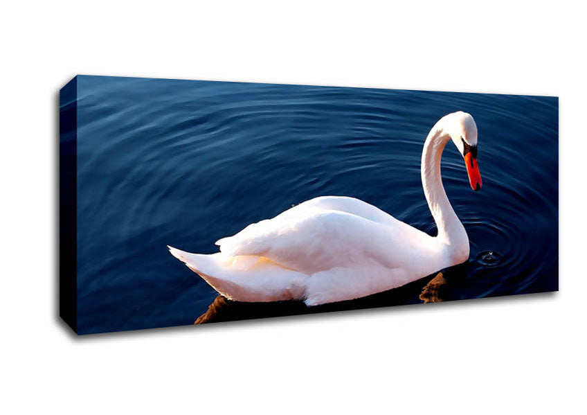 Picture of White Swan In Water Panoramic Canvas Wall Art