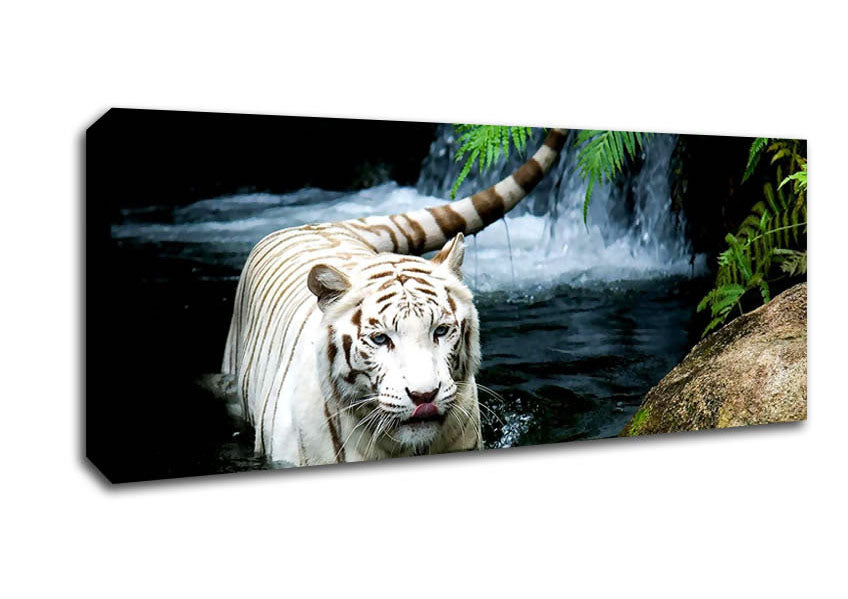 Picture of White Tiger Beautiful Panoramic Canvas Wall Art