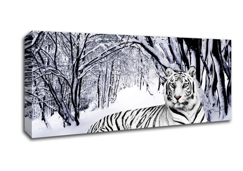 Picture of White Tiger In The Snow Panoramic Canvas Wall Art