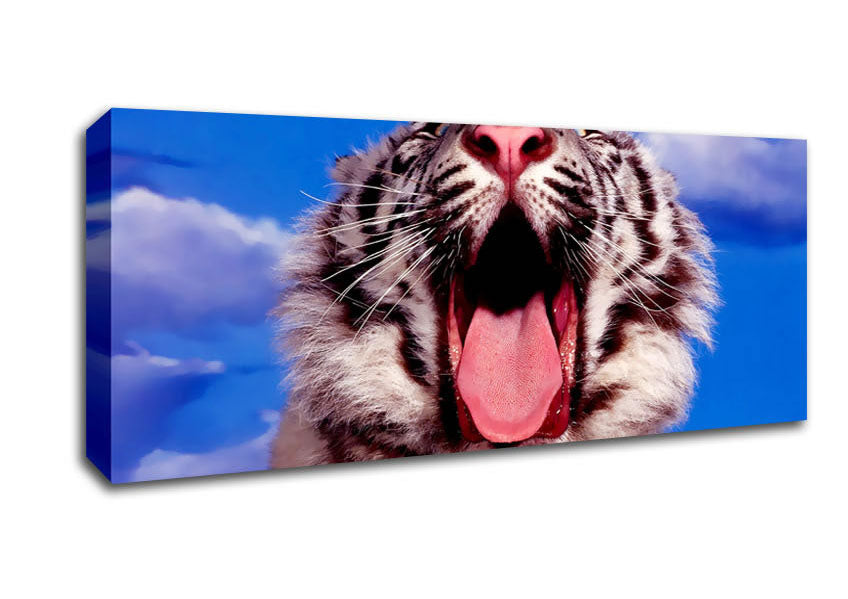 Picture of White Tiger Yawn Panoramic Canvas Wall Art