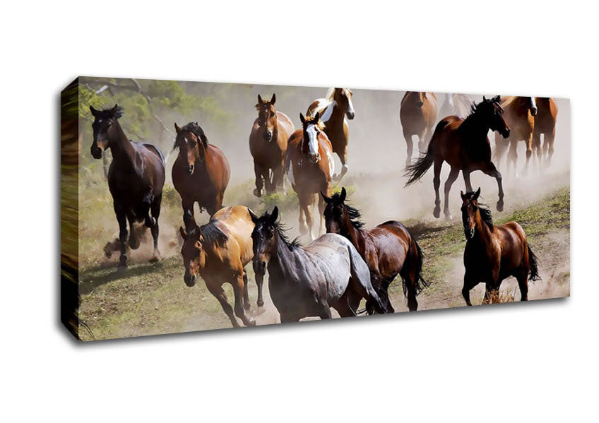 Picture of Wild Horse Stampede Panoramic Canvas Wall Art