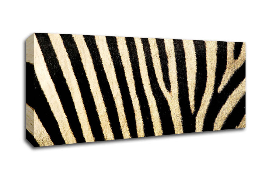 Picture of Zebra Pattern Panoramic Canvas Wall Art
