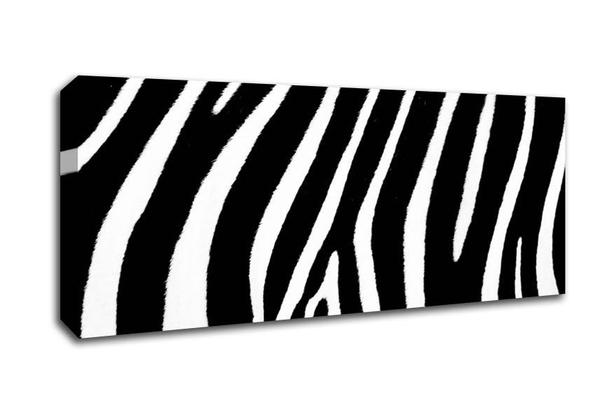 Picture of Zebra Pattern B n W Panoramic Canvas Wall Art