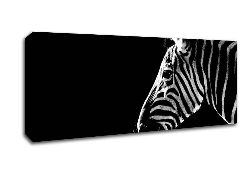 Picture of Zebra Whiskers Panoramic Canvas Wall Art