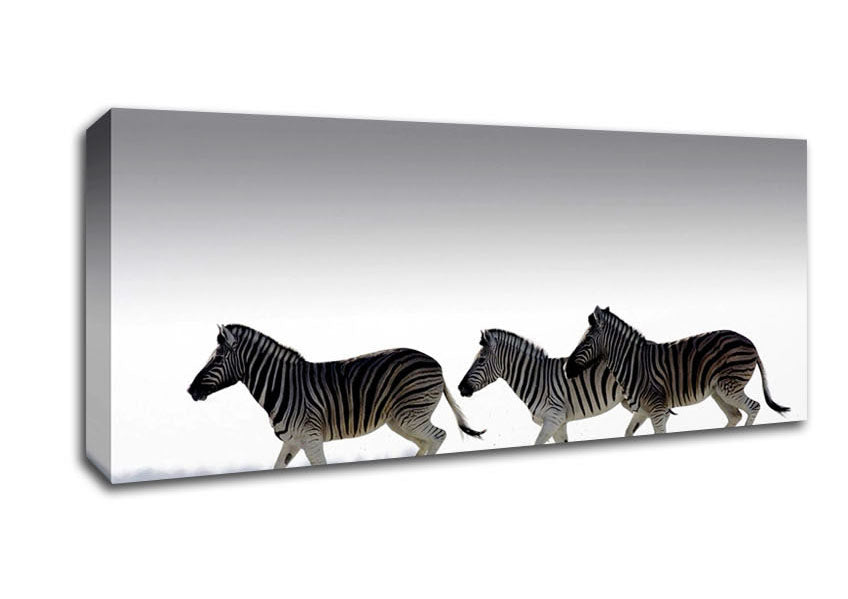 Picture of Zebras Ocean Running Panoramic Canvas Wall Art