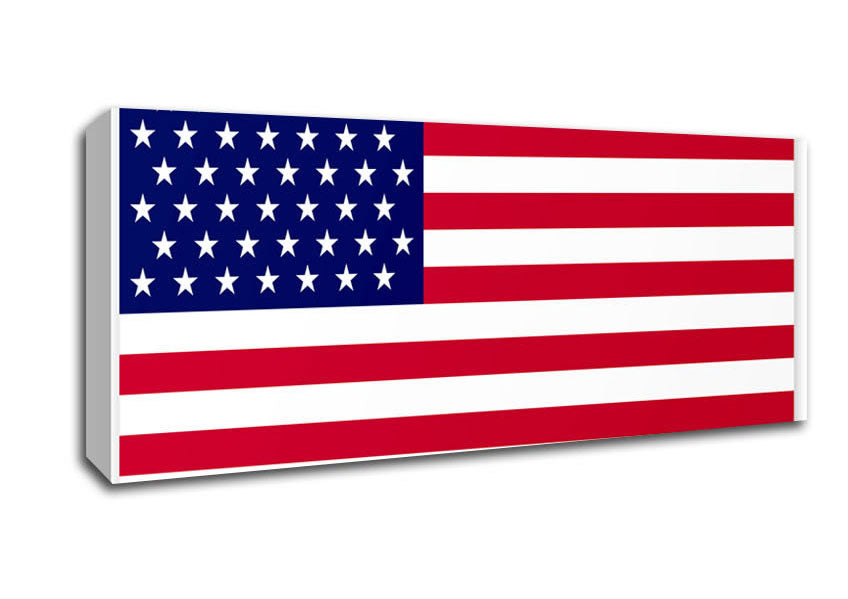 Picture of American Star Panoramic Canvas Wall Art