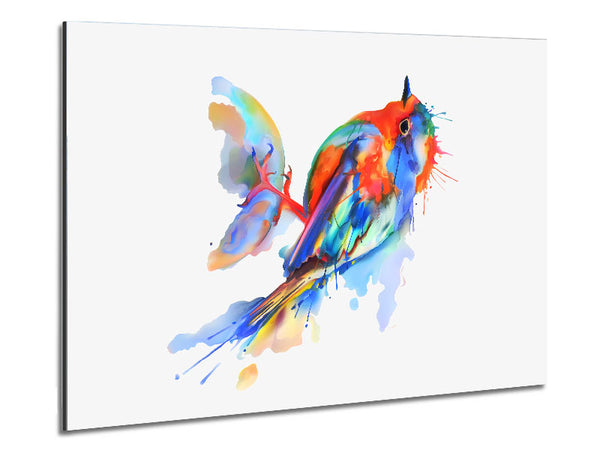 Colourful Robin Metal Print