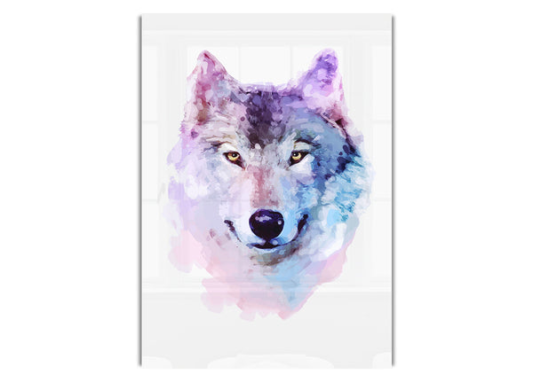Stunning Wolf