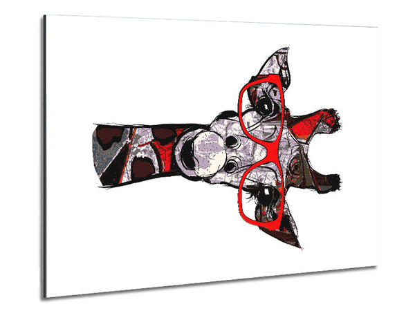 Funky Giraffe 2 Metal Print