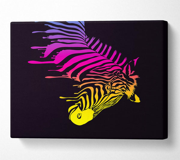  A Canvas Print of Zebra Rainbow Canvas Wall Art
