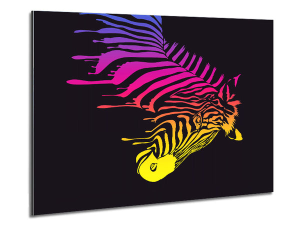 Zebra Rainbow Metal Print