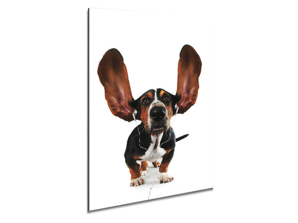 Basset Hound Music Metal Print