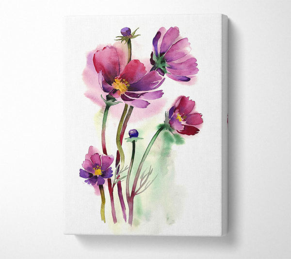  A Canvas Print of Wild Flower Beauty Canvas Wall Art