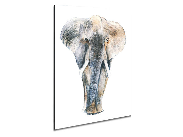Elephant Drawing Metal Print