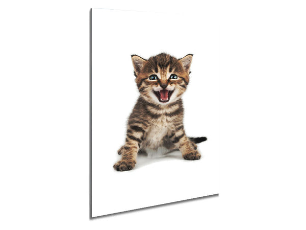 Cat Laugh Metal Print