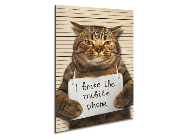 Cat Confessing Metal Print