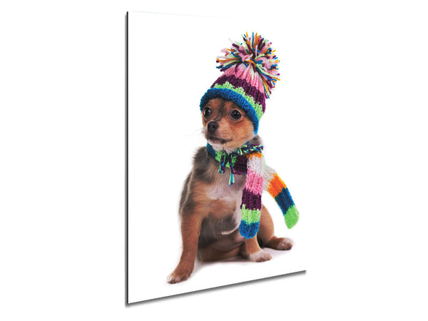 Chihuahua Dog Dressed For Winter Metal Print